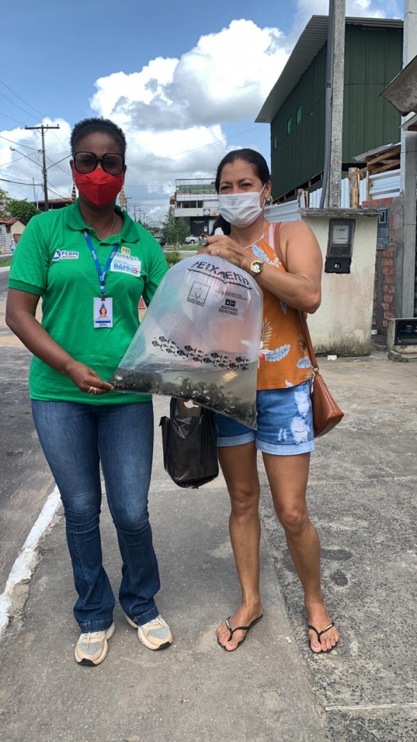 160 mil alevinos são distribuídos para agricultores e agricultoras familiares de municípios do Território Metropolitano de Salvador