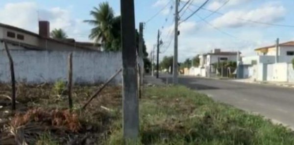 Cerca de 70 gatos são encontrados mortos em bairro de Feira de Santana