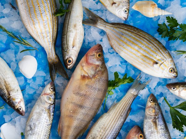 Da aparência à textura: nutricionista explica como escolher o peixe para o almoço da Semana Santa 