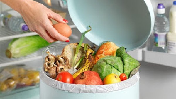 No Dia Internacional da Consciencialização sobre Perdas e Desperdício de Alimentos, nutricionista explica como evitar o desperdício de frutas e verduras 