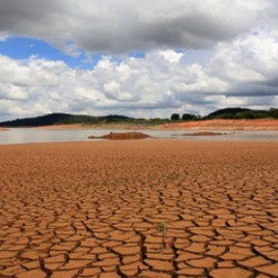 Mais de mil cidades no Brasil estão em situação de seca, revela estudo
