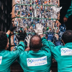 Programa investe R$ 776 mil em cooperativas de reciclagem na Bahia