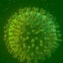 Covid-19: estudo diz que infectados podem gerar anticorpos permanentes