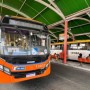 Expresso Micareta terá quatro linhas exclusivas de ônibus para o Circuito Maneca Ferreira