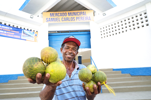 Bahia celebra o Dia do Apicultor com destaque na produção nacional de mel