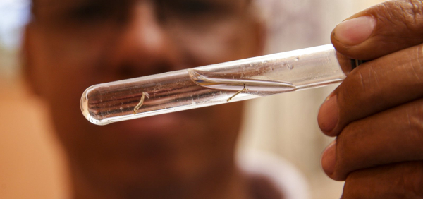 Dengue pode aumentar risco de desenvolver depressão, aponta estudo