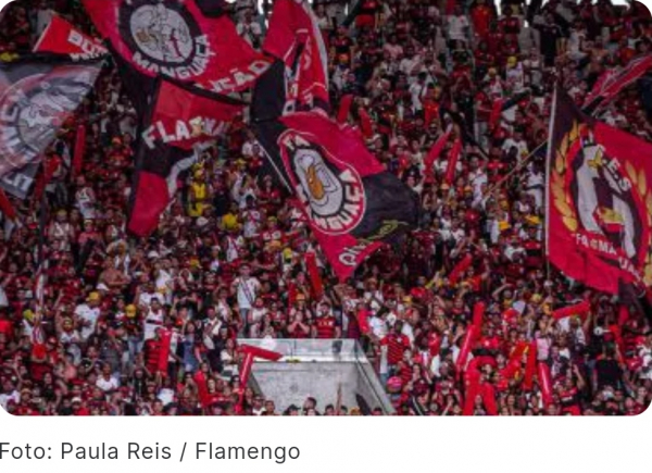 Flamengo é campeão em público na temporada 2022; confira lista