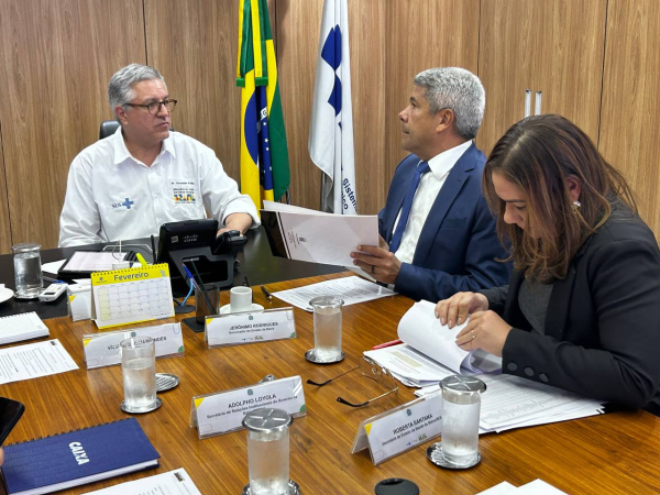 Governador se reúne com ministros para ampliar parcerias e articular novos investimentos para a Bahia