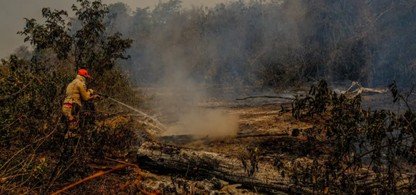 Governo federal mandará apoio para combate a incêndios no Pantanal