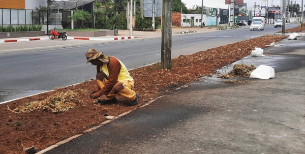 Novo gramado está sendo implantado no canteiro da avenida Noide Cerqueira