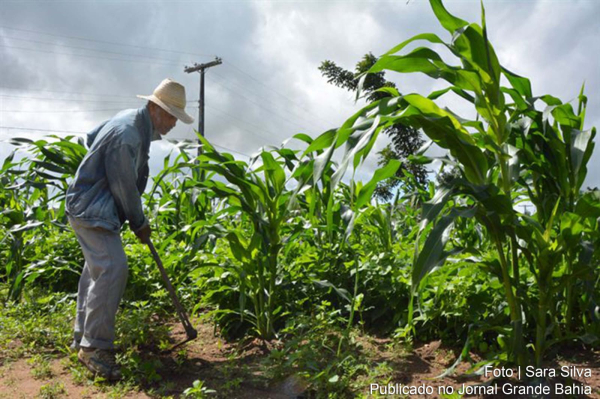 Palestra sobre direito previdenciário e homenagem a agricultor, na Câmara, nesta segunda