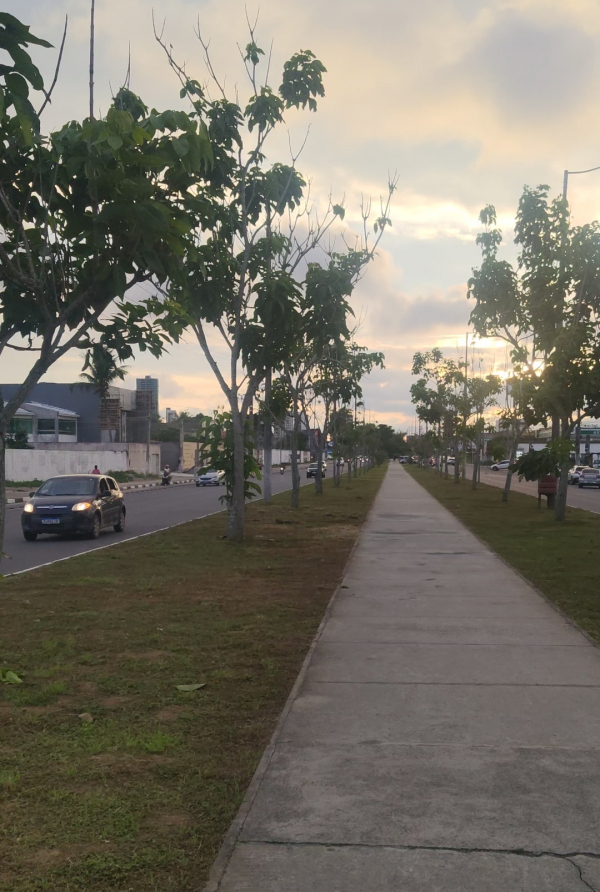 Prefeitura de Feira de Santana realiza ótimo serviço de limpeza da Avenida Nóide Cerqueira