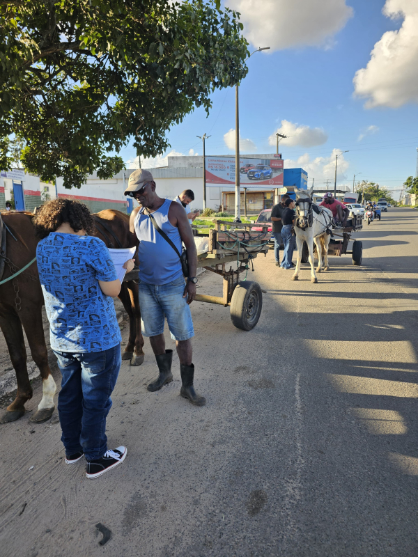 Projeto Amigo Carroceiro atua no cuidado à saúde e bem-estar de trabalhadores e animais