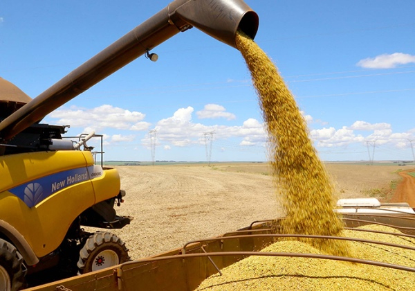 Seguros tiveram alta de 20,2% em julho com a ajuda de apólices do agro