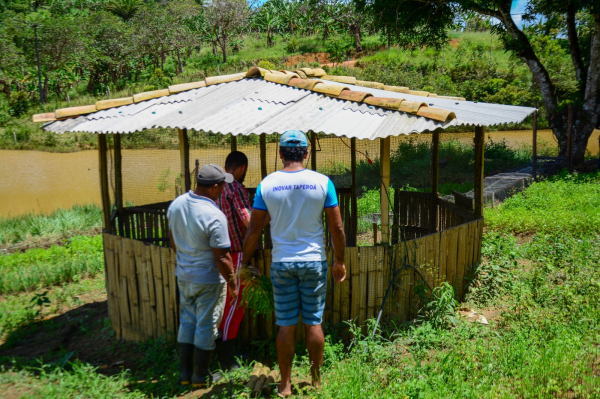 Sistema PAIS impulsiona produção sustentável e diversificada na Bahia