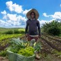 Quintais produtivos, mecanização e barragem garantem autonomia financeira para agricultores familiares de Cruz das Almas